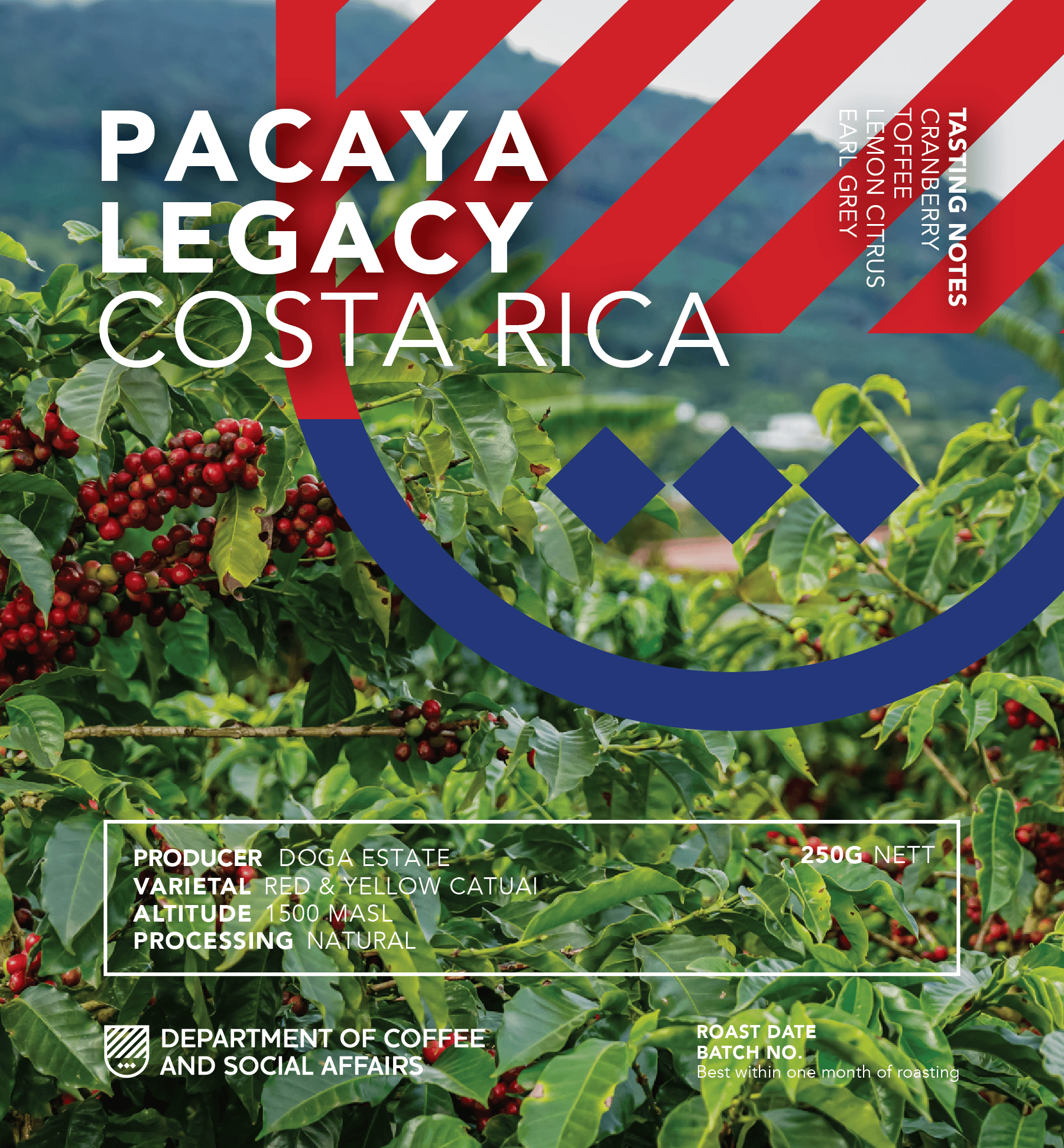 Pacaya Legacy
